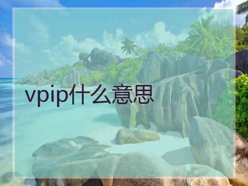 vpip什么意思