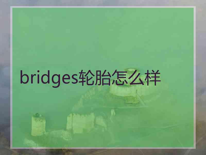 bridges轮胎怎么样