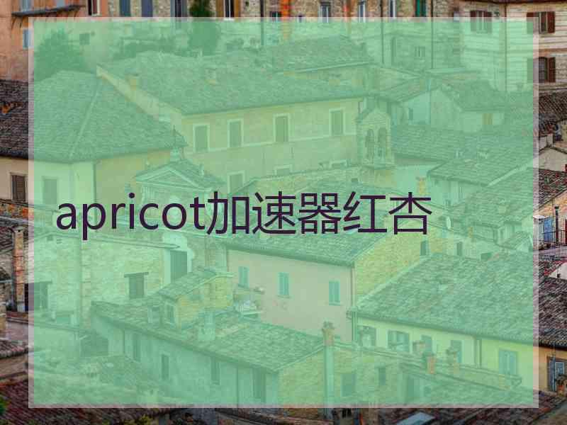 apricot加速器红杏