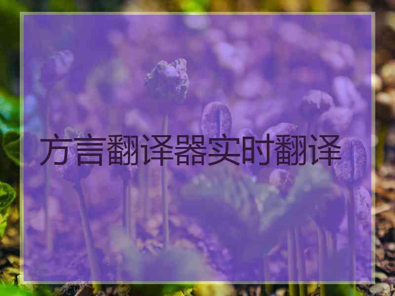 方言翻译器实时翻译