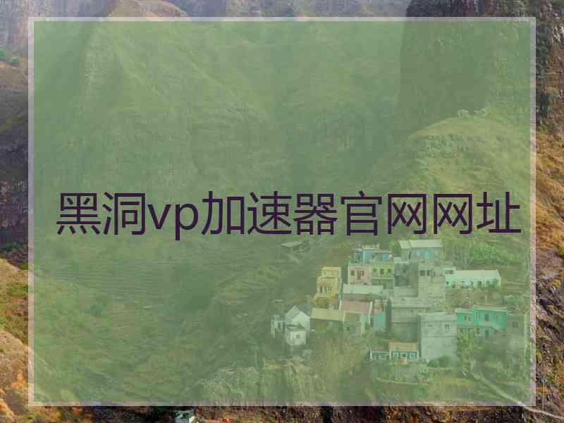 黑洞vp加速器官网网址