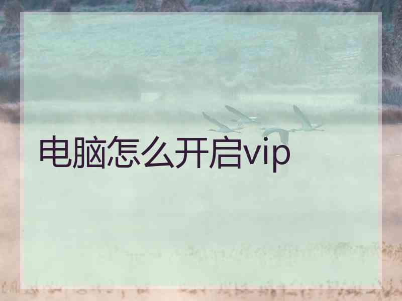 电脑怎么开启vip