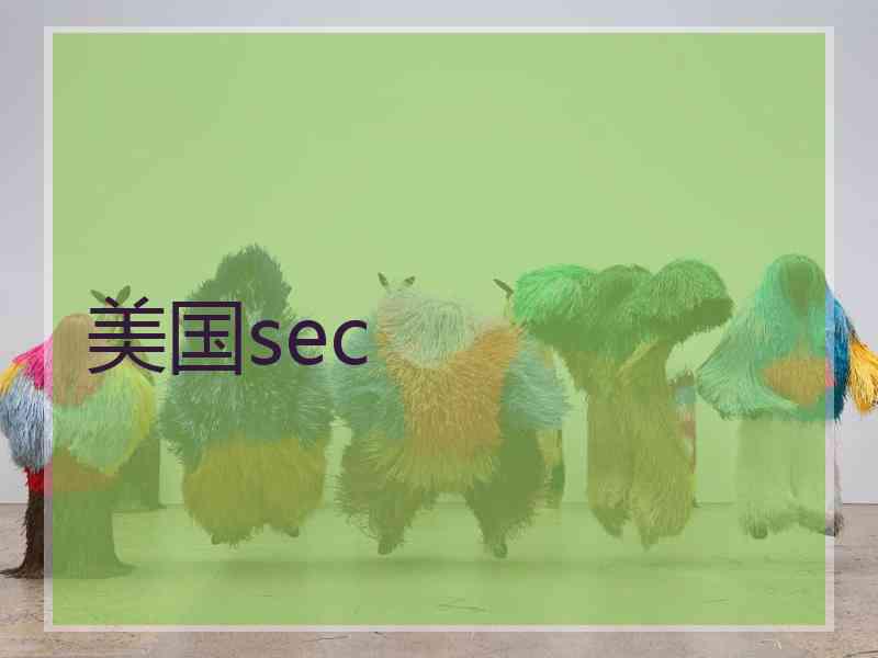 美国sec