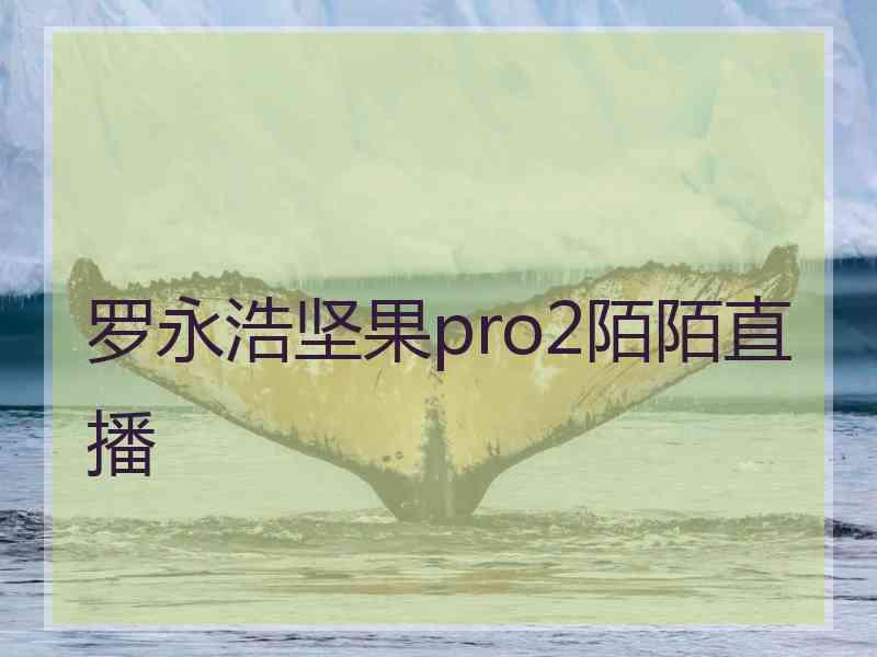 罗永浩坚果pro2陌陌直播