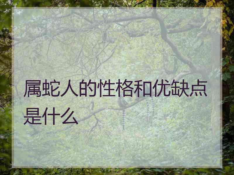 属蛇人的性格和优缺点是什么