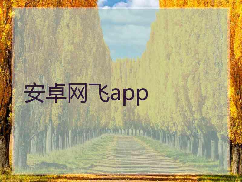 安卓网飞app