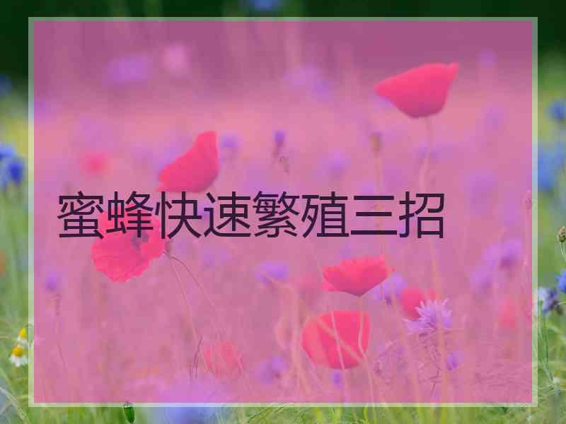 蜜蜂快速繁殖三招