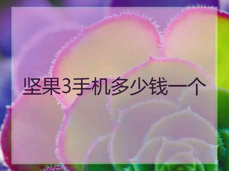 坚果3手机多少钱一个