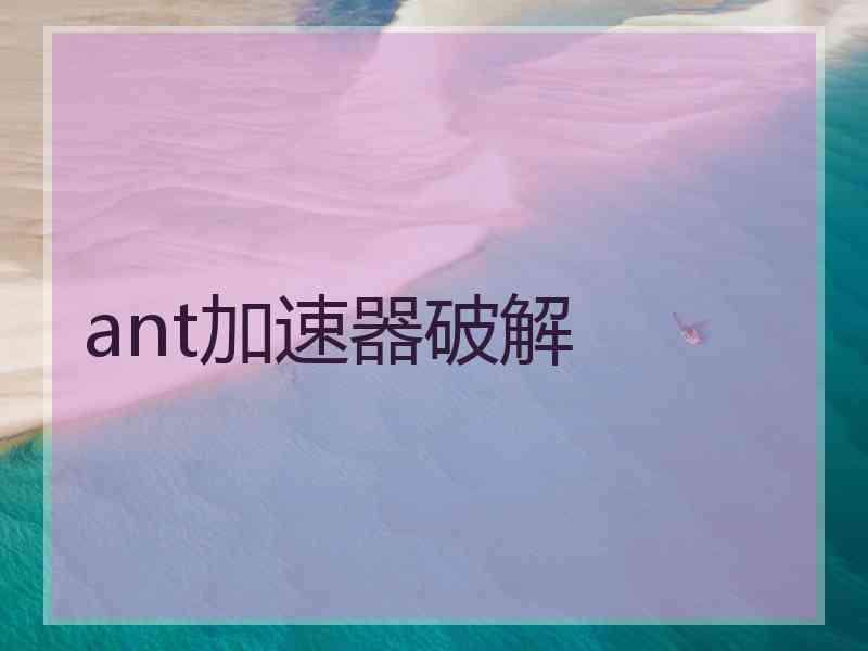 ant加速器破解