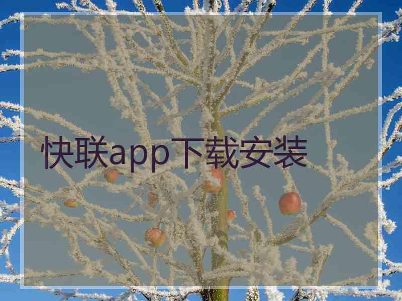 快联app下载安装