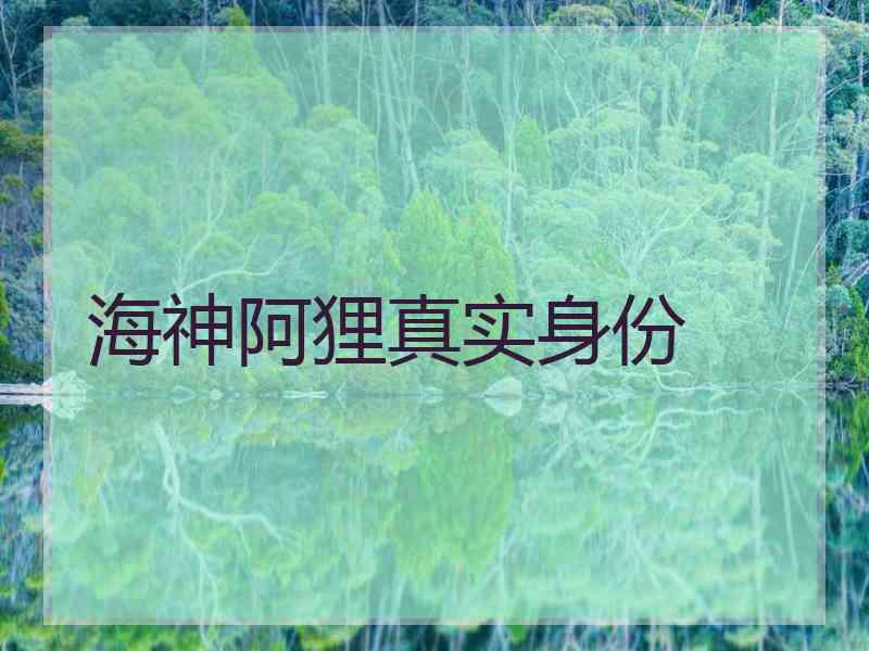 海神阿狸真实身份