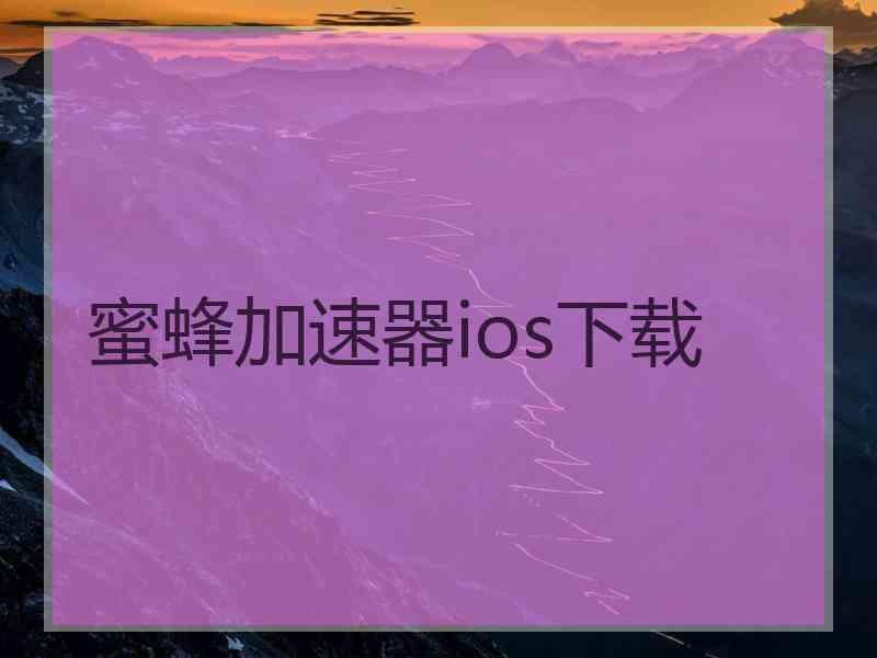 蜜蜂加速器ios下载