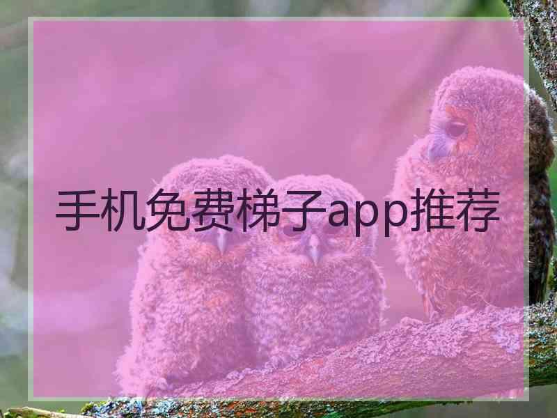 手机免费梯子app推荐