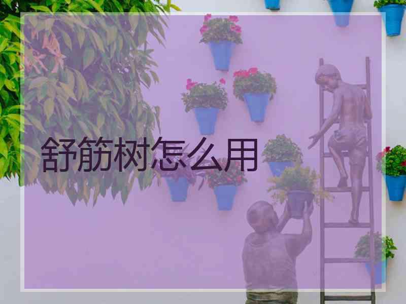 舒筋树怎么用