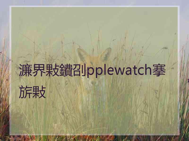 濂界敤鐨刟pplewatch搴旂敤