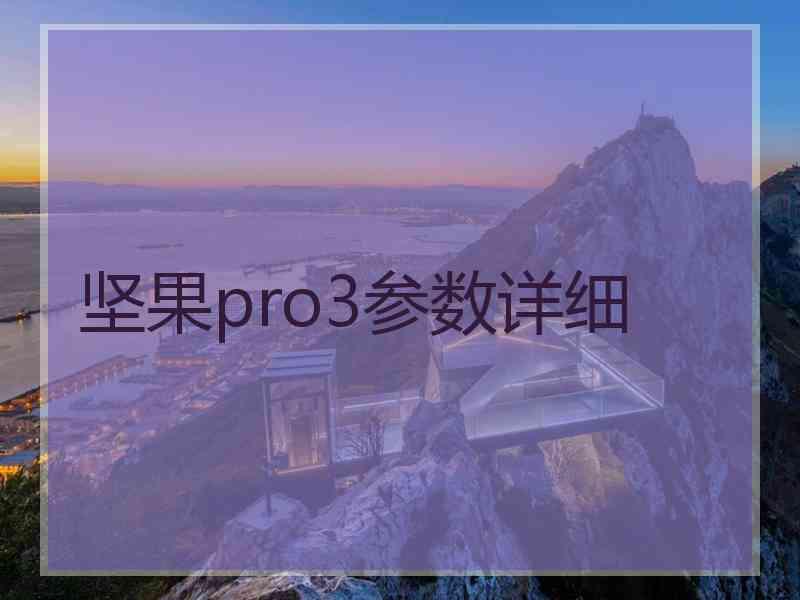 坚果pro3参数详细