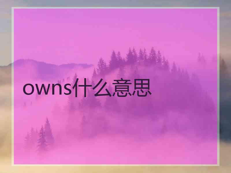 owns什么意思