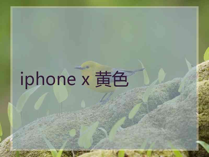 iphone x 黄色