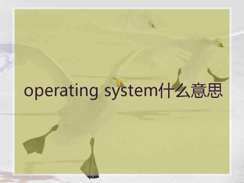 operating system什么意思