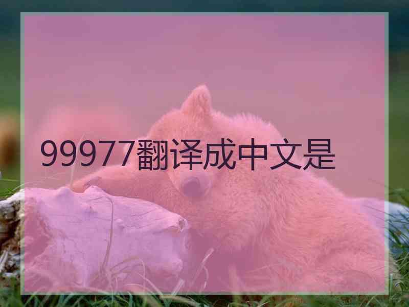 99977翻译成中文是