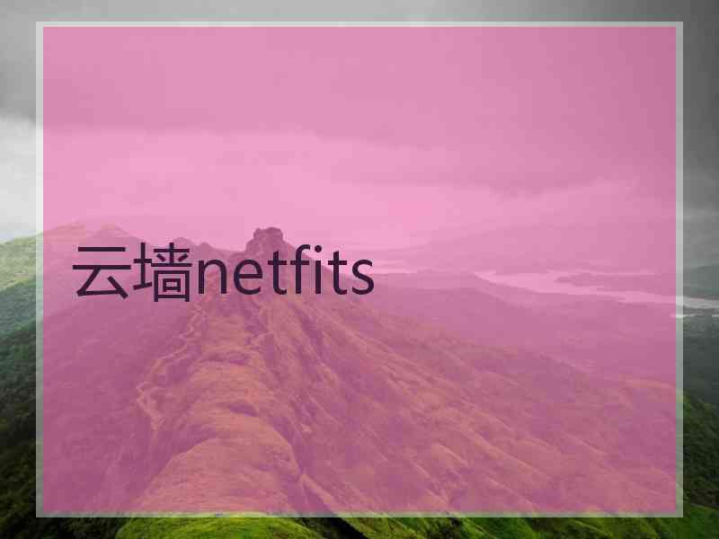 云墙netfits