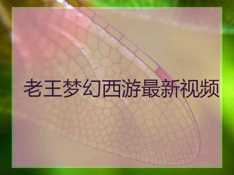 老王梦幻西游最新视频