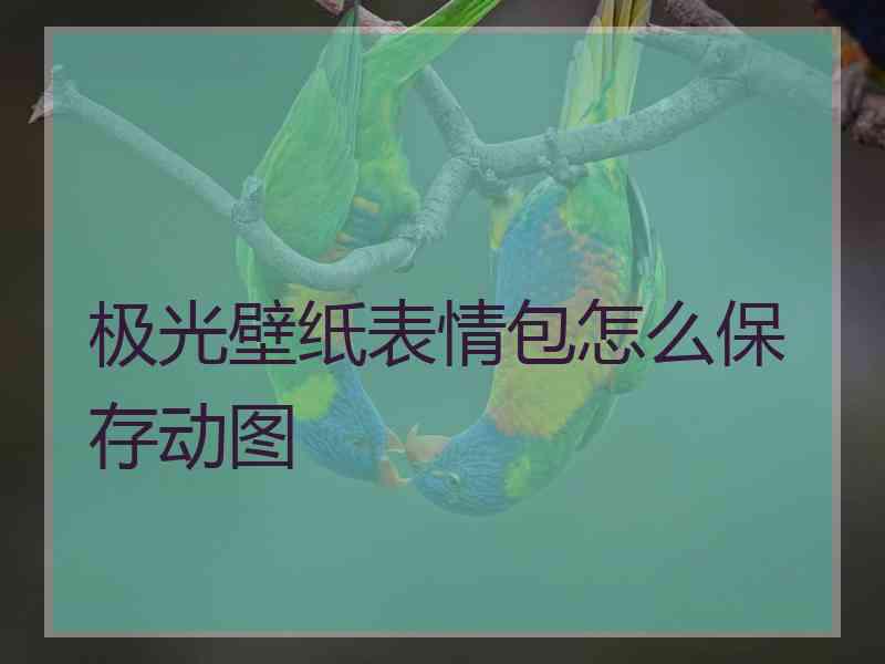 极光壁纸表情包怎么保存动图