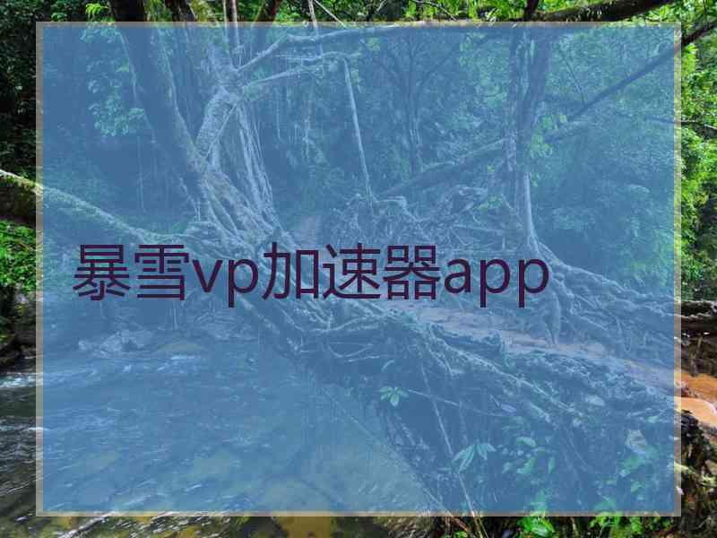 暴雪vp加速器app