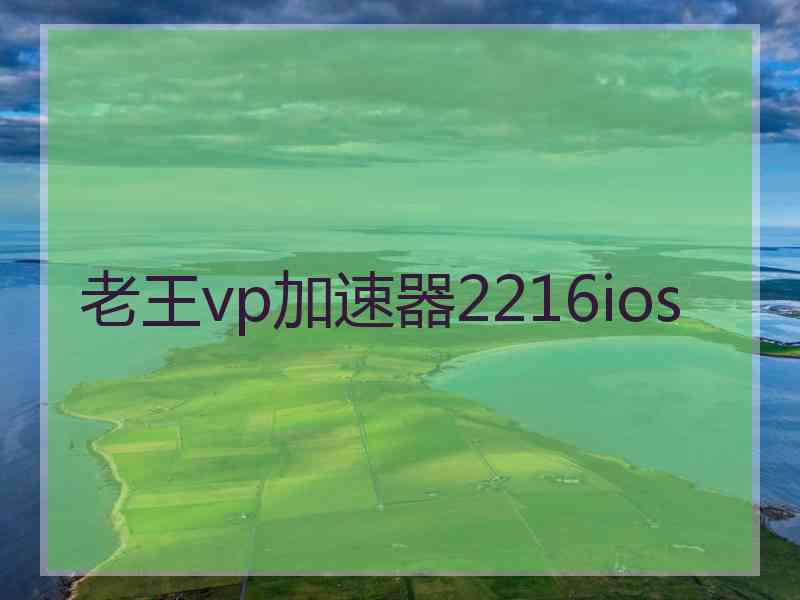 老王vp加速器2216ios