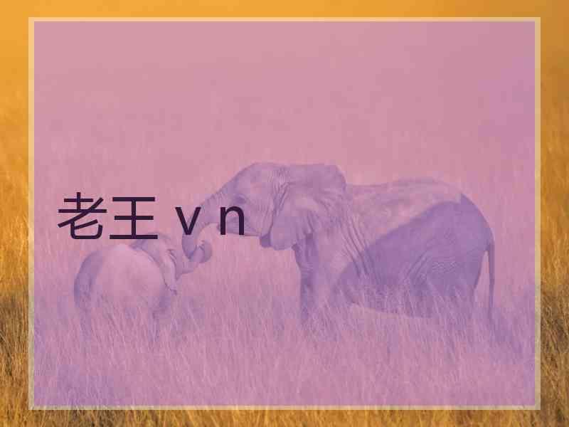 老王 v n