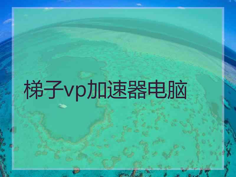 梯子vp加速器电脑