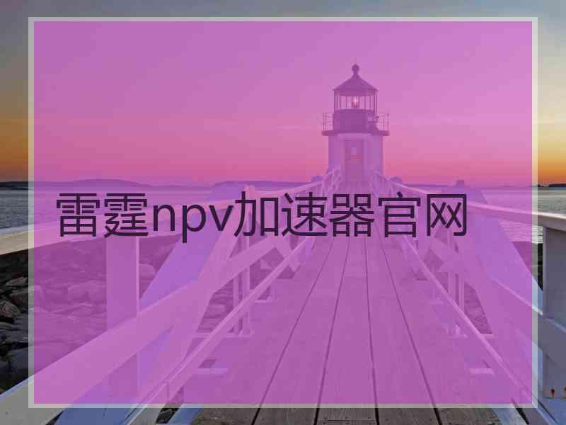 雷霆npv加速器官网