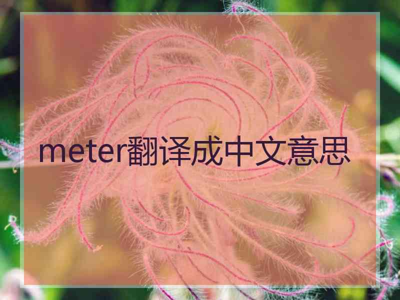 meter翻译成中文意思