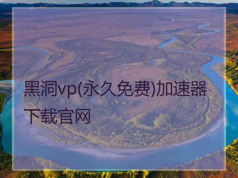 黑洞vp(永久免费)加速器下载官网