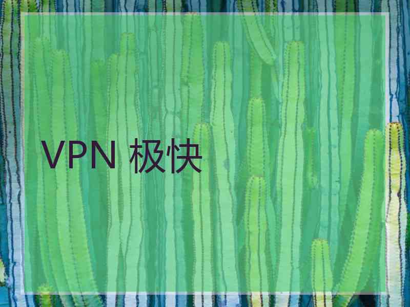 VPN 极快