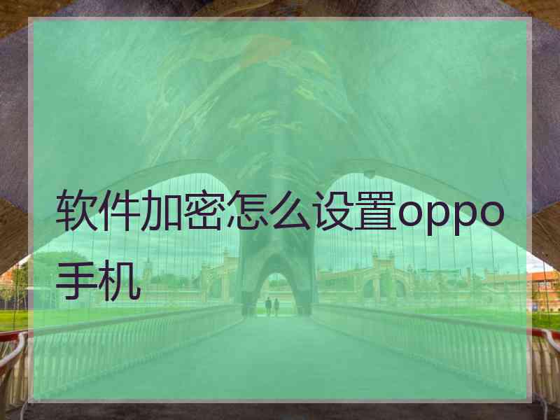 软件加密怎么设置oppo手机