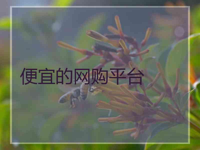 便宜的网购平台