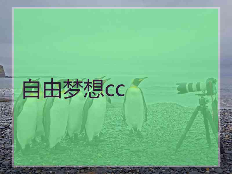 自由梦想cc