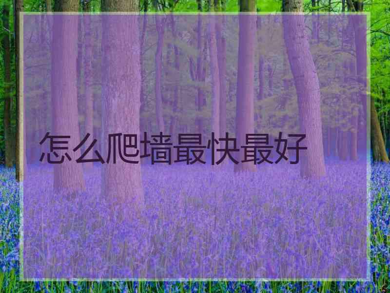 怎么爬墙最快最好