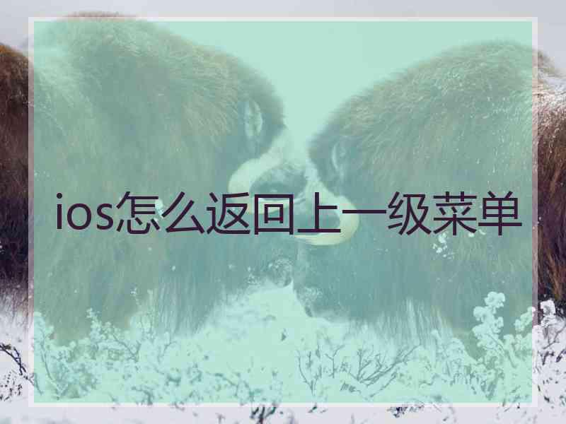 ios怎么返回上一级菜单