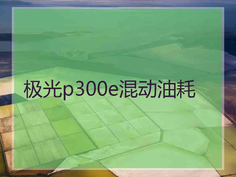 极光p300e混动油耗