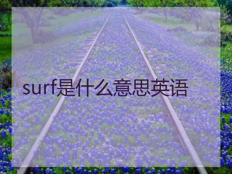 surf是什么意思英语