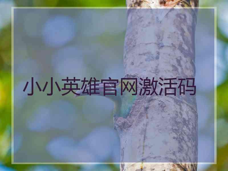 小小英雄官网激活码