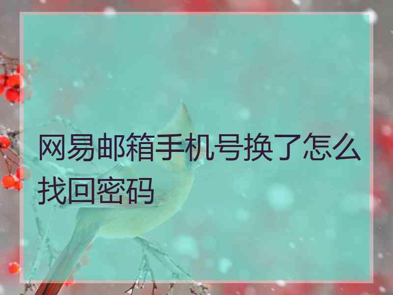 网易邮箱手机号换了怎么找回密码