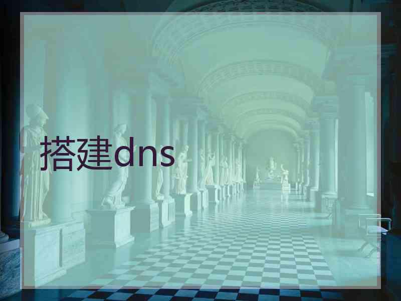 搭建dns