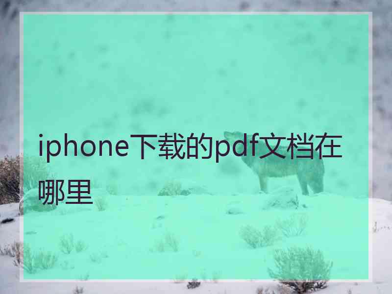 iphone下载的pdf文档在哪里