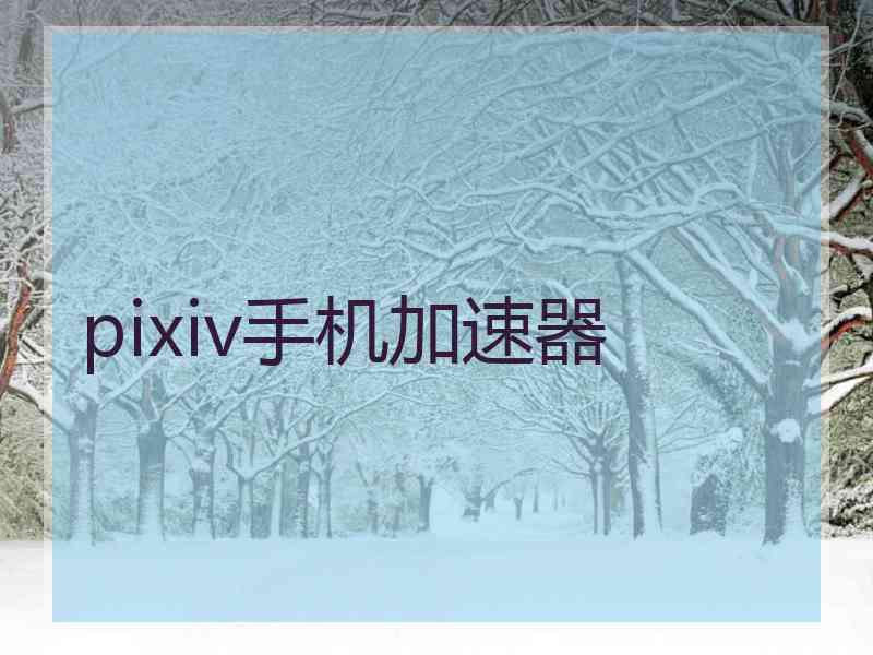 pixiv手机加速器