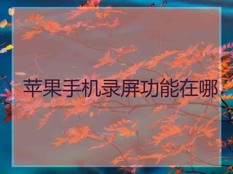 苹果手机录屏功能在哪