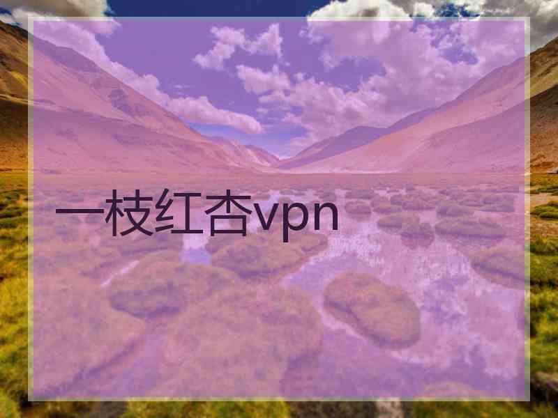 一枝红杏vpn