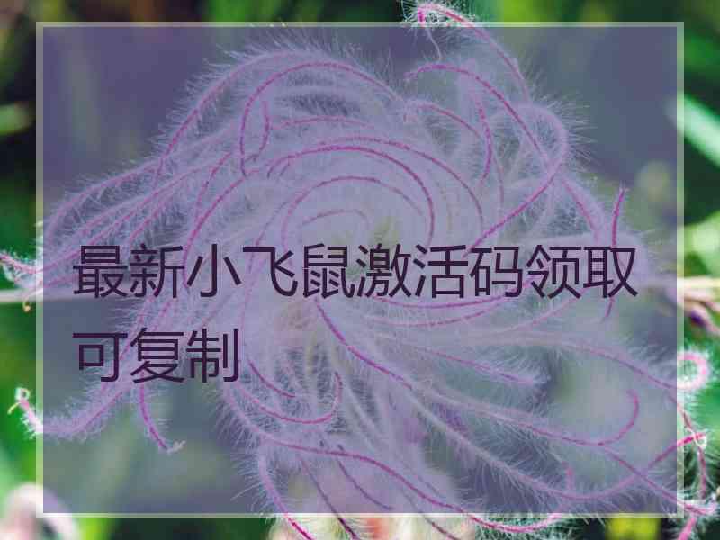 最新小飞鼠激活码领取可复制